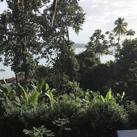 Free Spirit Oasis Hotel Bocas del Toro Exterior foto