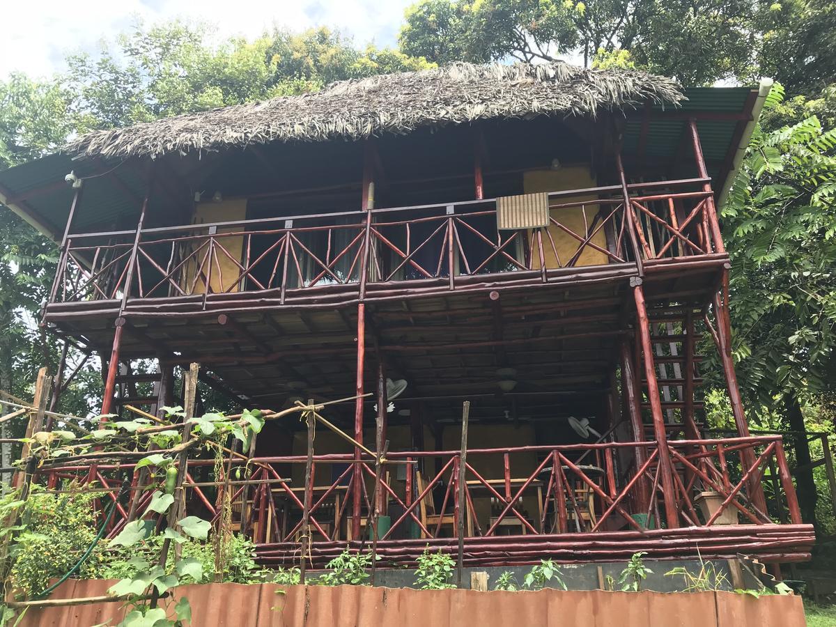Free Spirit Oasis Hotel Bocas del Toro Exterior foto